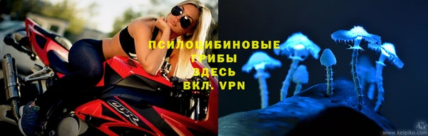 дурь Горнозаводск