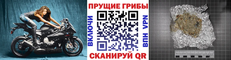 ссылка на мегу ссылки  купить наркотики сайты  Егорьевск  Галлюциногенные грибы мицелий 