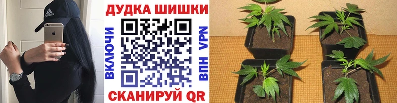 МАРИХУАНА тримм  Егорьевск 